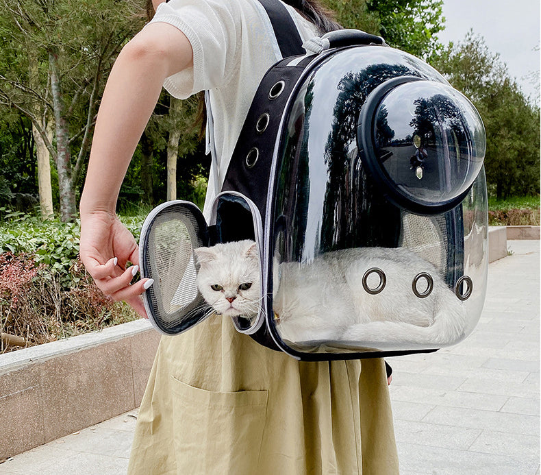 Transparent Pet Bag