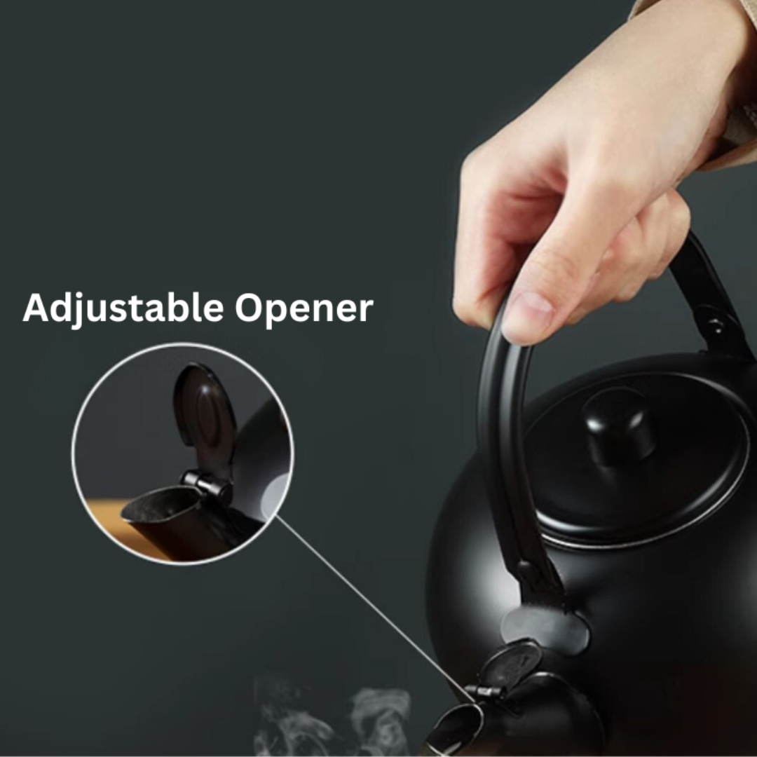 Matt Black Stainless Steel Teapot